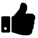 Why Us Icon 1